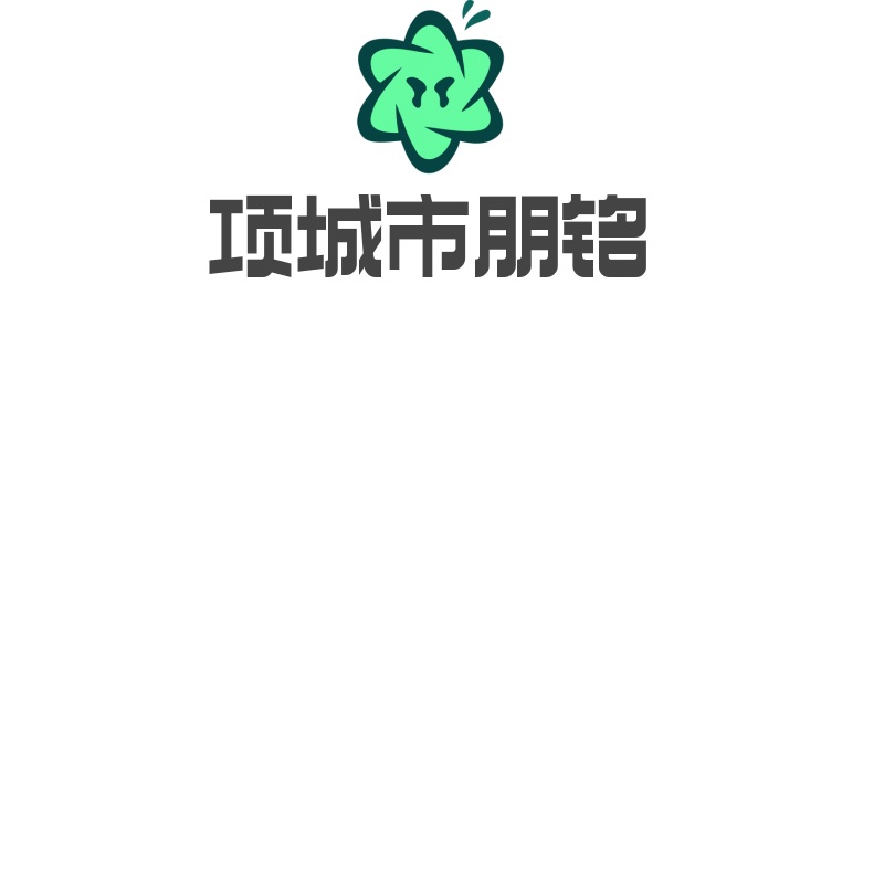 项城市朋铭网络科技有限公司